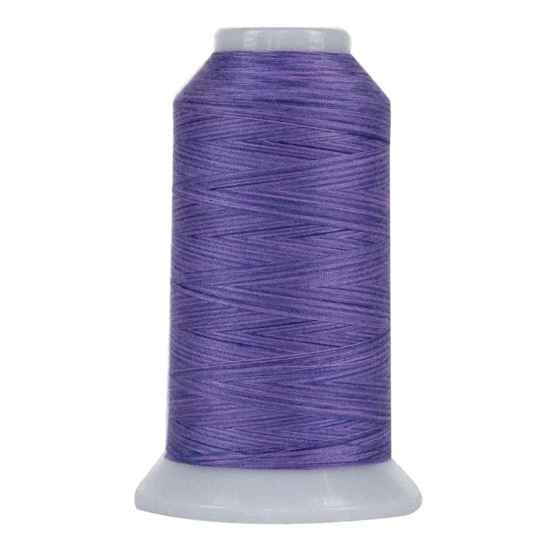9019 Lydia Omni Variegated Polyester Thread - Choice FabricsCDS-14502-9019