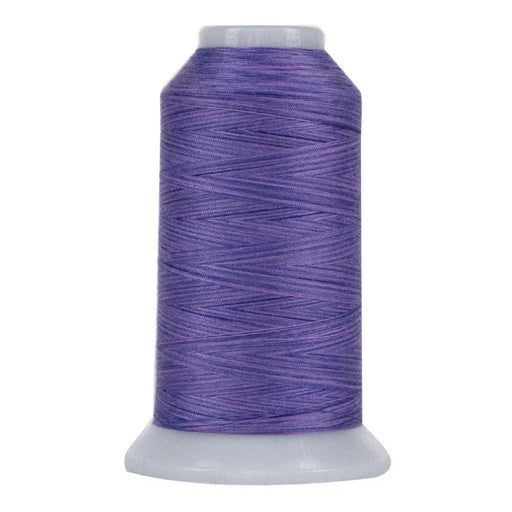 9019 Lydia Omni Variegated Polyester Thread - Choice FabricsCDS-14502-9019