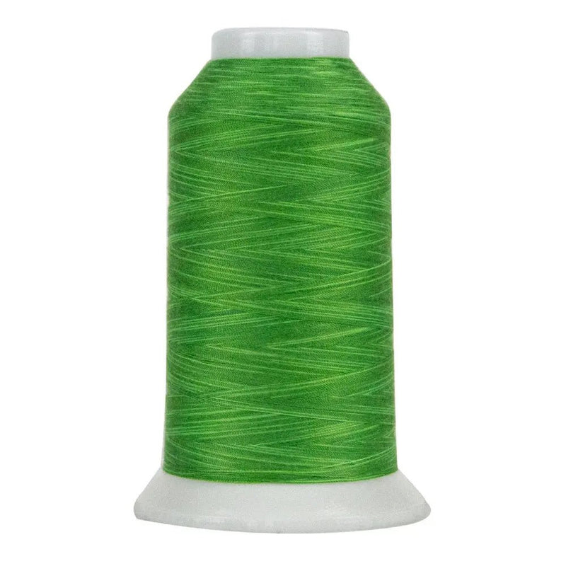 9029 Fresh Green Omni Variegated Polyester Thread - Choice FabricsCDS-14502-9029