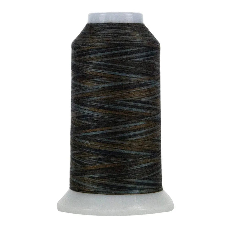 9058 Mt. Timpanogos Omni Variegated Polyester Thread - Choice FabricsCDS-14502-9058
