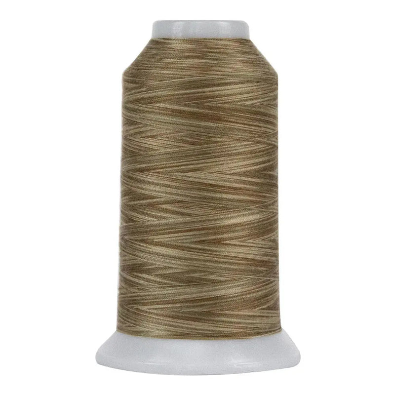 9062 Pebble Beach Omni Variegated Polyester Thread - Choice FabricsOMNIV-9062