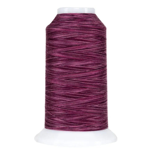 9072 Bumbleberry Omni Variegated Polyester Thread - Choice FabricsCDS-14502-9072