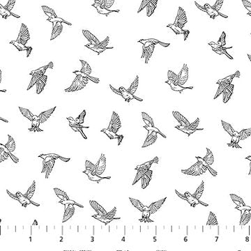 White/Black 28533-10 Nature's Sketchbook Cotton 44"/45" Fabric Per Yard - Choice Fabrics28533-10