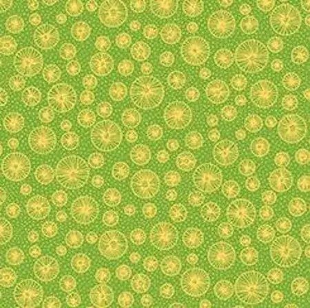 Flowerful - Linear Circles - Green - Choice Fabrics30107-G