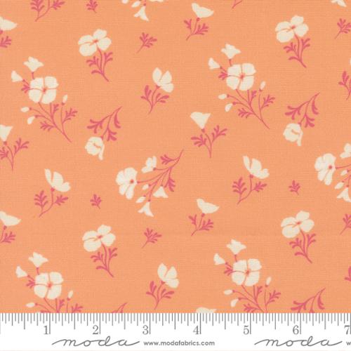 Cannon Beach Peach Astoria Florals 44"/45" Fabric Per Yard - Choice Fabrics11974-22