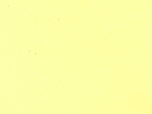 Marcus Brothers Textiles - Solid Flannel - Lemonade - Choice FabricsBD-23001-A04 - R42-0033