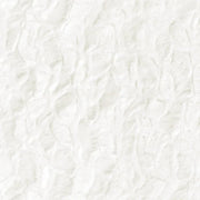 Bella Minky Direct - E BELLA WHITE - Choice FabricsDS-87586-001