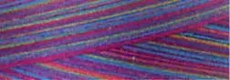 Cotton Quilting Thread 3 - ply 40wt 3000yds Variegated Fad 5 - Choice FabricsCDS-49S-M16