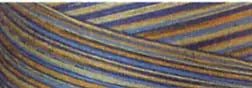 Cotton Quilting Thread 3 - ply 40wt 3000yds Variegated French Country - Choice FabricsCDS-49S-M17