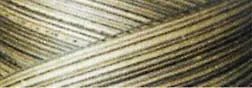 Cotton Quilting Thread 3 - ply 40wt 3000yds Variegated Green House - Choice FabricsCDS-49S-M04