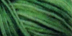 Cotton Quilting Thread Variegated 3000yd Spring Grass - Choice FabricsCDS-49S-F259