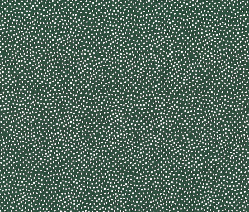 Michael Miller Fabrics - Michael Miller Prints Direct New - Choice FabricsDS-100436-001 - CX1065-JUNG-D