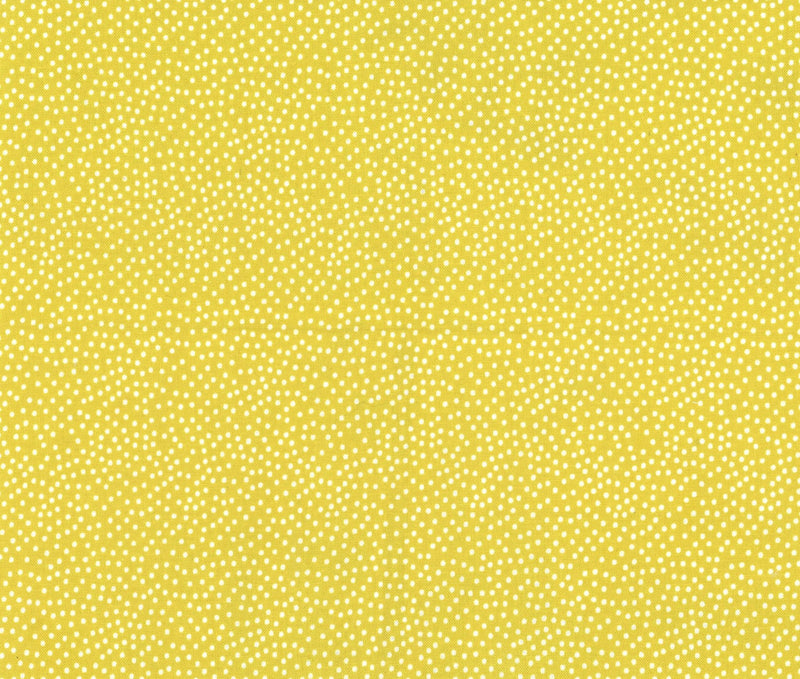 Michael Miller Fabrics - Michael Miller Prints Direct New - Choice FabricsDS-100439-001 - CX1065-STRF-D