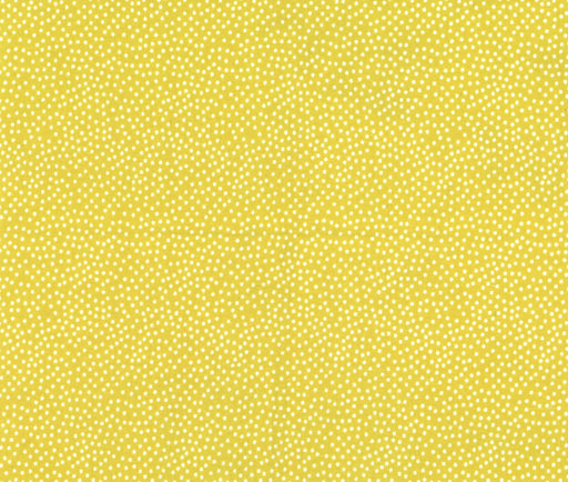 Michael Miller Fabrics - Michael Miller Prints Direct New - Choice FabricsDS-100439-001 - CX1065-STRF-D