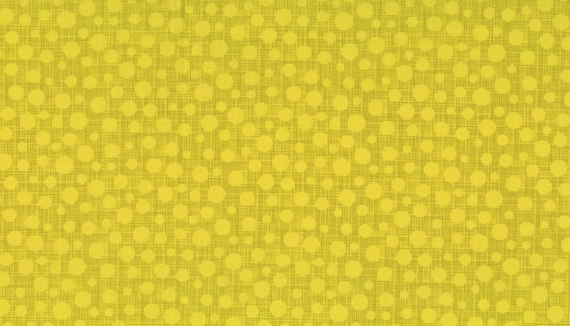 Michael Miller Fabrics - Michael Miller Prints Direct New - Choice FabricsDS-100442-001 - CX6699-GRAS-D