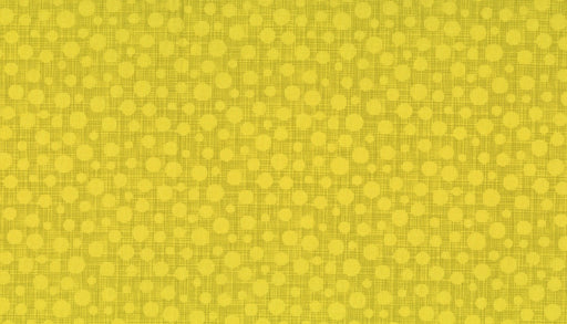 Michael Miller Fabrics - Michael Miller Prints Direct New - Choice FabricsDS-100442-001 - CX6699-GRAS-D