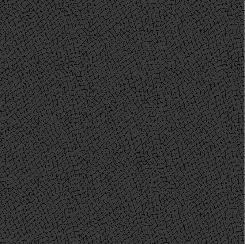 Michael Miller Fabrics - Michael Miller Prints Direct New - Choice FabricsDS-100464-001 - CX9997-CHAR-D
