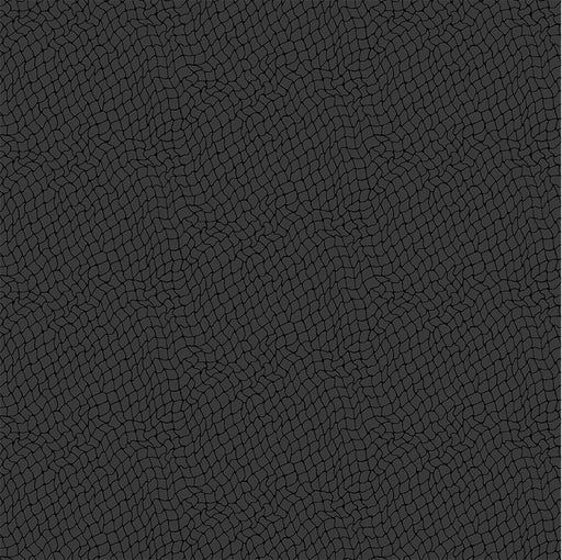 Michael Miller Fabrics - Michael Miller Prints Direct New - Choice FabricsDS-100464-001 - CX9997-CHAR-D