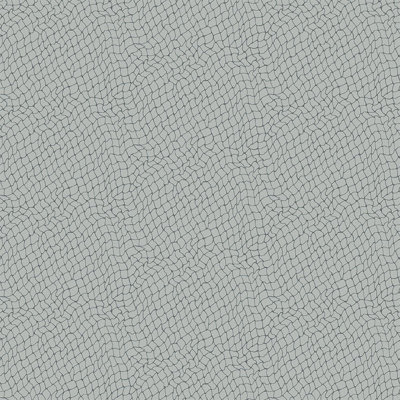 Michael Miller Fabrics - Michael Miller Prints Direct New - Choice FabricsDS-100467-001 - CX9997-PEWT-D