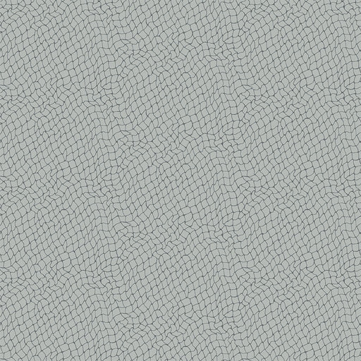 Michael Miller Fabrics - Michael Miller Prints Direct New - Choice FabricsDS-100467-001 - CX9997-PEWT-D