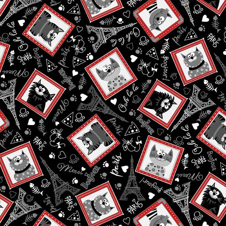 Michael Miller Fabrics - Michael Miller Prints Direct - Choice FabricsDS-100504-001 - CX11399-BLAC-D
