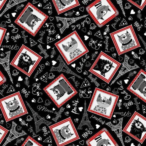 Michael Miller Fabrics - Michael Miller Prints Direct - Choice FabricsDS-100504-001 - CX11399-BLAC-D
