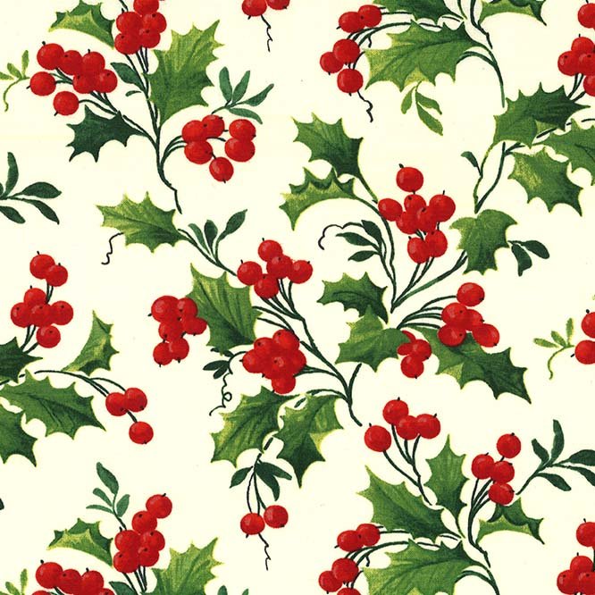 Michael Miller Fabrics - Michael Miller Prints Direct - Choice FabricsDS-100526-001 - CX4571-WINT-D