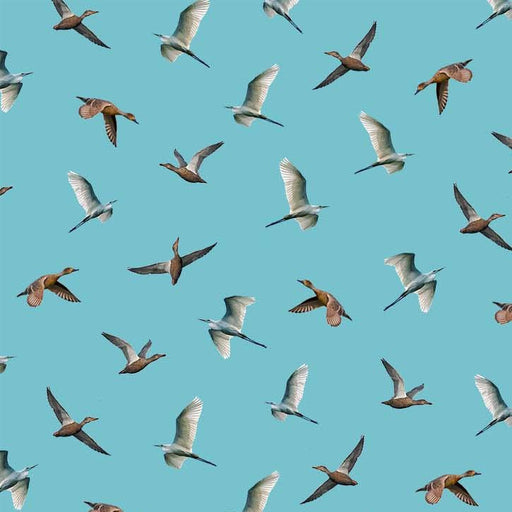 Michael Miller Fabrics - Michael Miller Prints Direct - Choice FabricsDS-100587-001 - DCX11481-SKYX-D