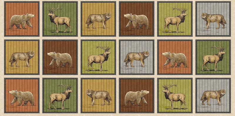 Michael Miller Fabrics - Michael Miller Prints Direct - Choice FabricsDS-100591-001 - DCX11495-MULT-D