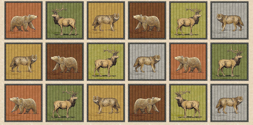 Michael Miller Fabrics - Michael Miller Prints Direct - Choice FabricsDS-100591-001 - DCX11495-MULT-D