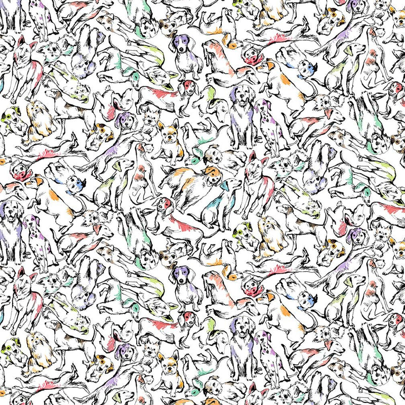 Michael Miller Fabrics - Michael Miller Prints Direct - Choice FabricsDS-100604-001 - DCX12403-WHIT-D