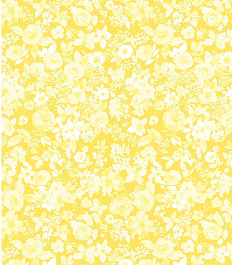 Michael Miller Fabrics - Michael Miller Prints Direct - Choice FabricsDS-100613-001 - DCX9727-SUNX-D