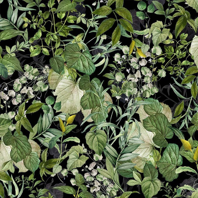Michael Miller Fabrics - Michael Miller Prints Direct - Choice FabricsDS-100638-001 - DDC11468-BLAC-D