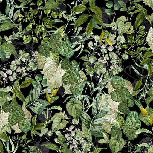 Michael Miller Fabrics - Michael Miller Prints Direct - Choice FabricsDS-100638-001 - DDC11468-BLAC-D