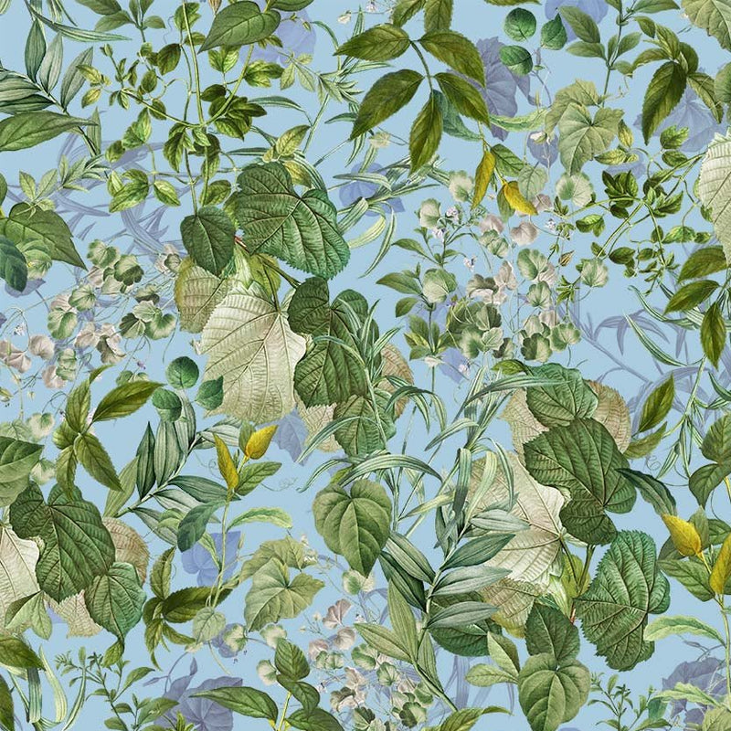 Michael Miller Fabrics - Michael Miller Prints Direct - Choice FabricsDS-100639-001 - DDC11468-BREE-D