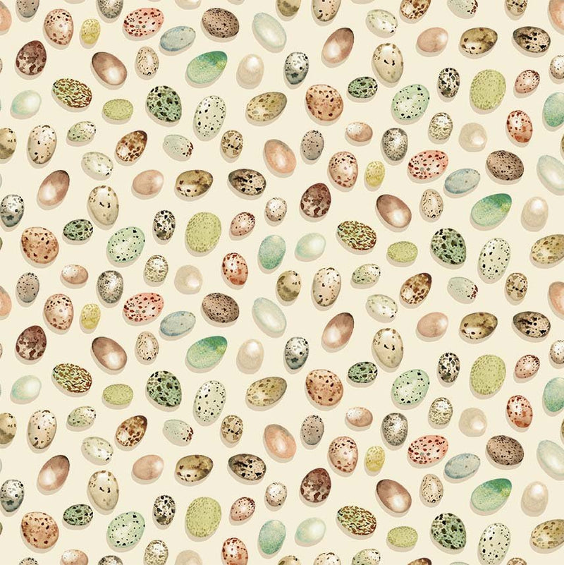 Michael Miller Fabrics - Michael Miller Prints Direct - Choice FabricsDS-100648-001 - DDC12422-CREM-D