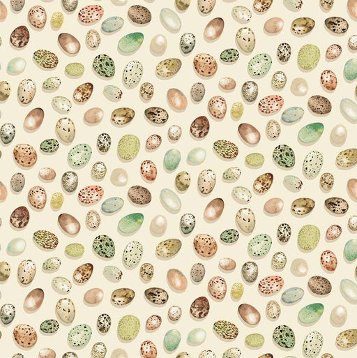 Michael Miller Fabrics - Michael Miller Prints Direct - Choice FabricsDS-100648-001 - DDC12422-CREM-D