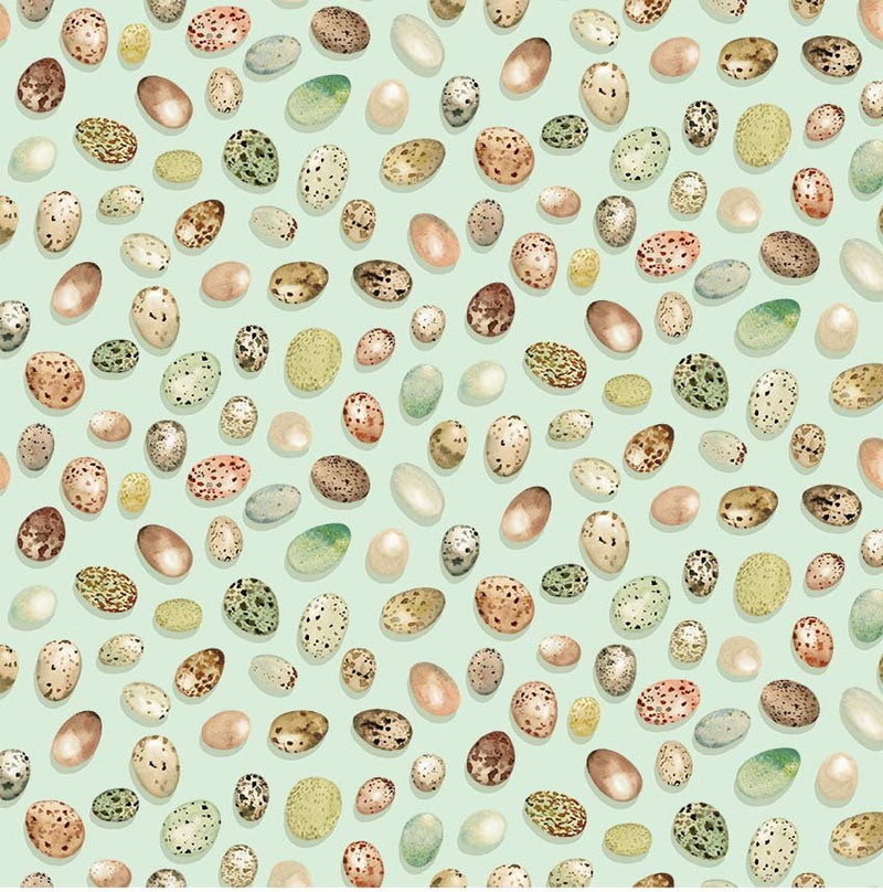 Michael Miller Fabrics - Michael Miller Prints Direct - Choice FabricsDS-100649-001 - DDC12422-MIST-D