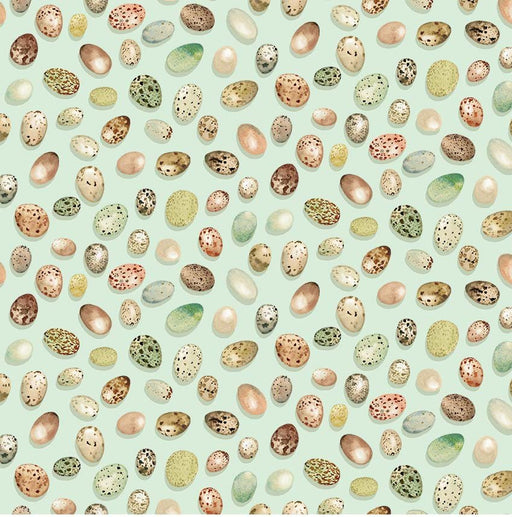 Michael Miller Fabrics - Michael Miller Prints Direct - Choice FabricsDS-100649-001 - DDC12422-MIST-D