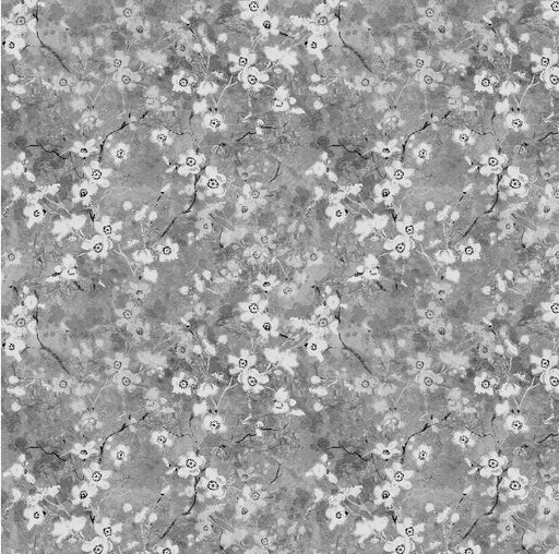 Michael Miller Fabrics - Michael Miller Prints Direct - Choice FabricsDS-100733-001 - DCX9850-CHAR-D