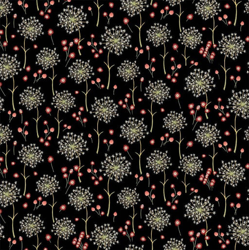 Michael Miller Fabrics - Michael Miller Prints Direct - Choice FabricsDS-100791-001 - DCX12105-BLAC-D
