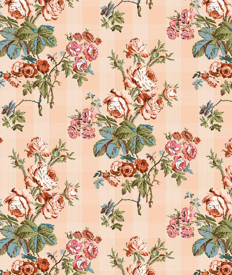 Michael Miller Fabrics - Michael Miller Prints Direct - Choice FabricsDS-100802-001 - DCX12425-BLUS-D