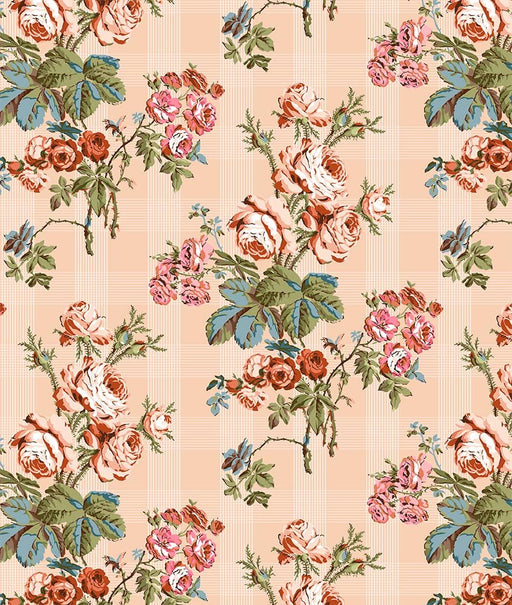 Michael Miller Fabrics - Michael Miller Prints Direct - Choice FabricsDS-100802-001 - DCX12425-BLUS-D