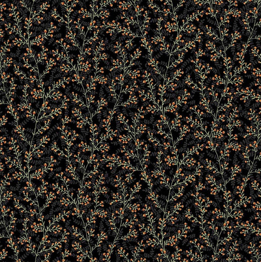 Michael Miller Fabrics - Michael Miller Prints Direct - Choice FabricsDS-100806-001 - DCX12106-BLAC-D