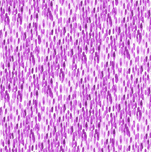 Michael Miller Fabrics - Michael Miller Prints Direct - Choice FabricsDS-100816-001 - DCX12397-PURP-D