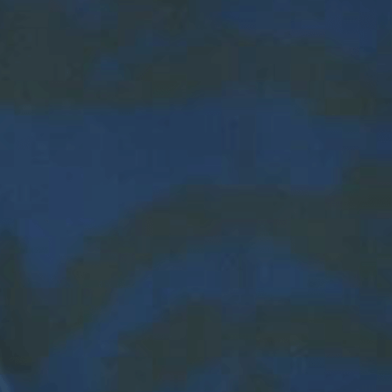 Every Day Prints - Leaf Garden - Black/Navy (3 - Yard Pack) - Choice FabricsX7796-BN