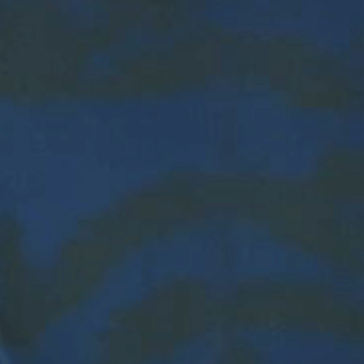 Every Day Prints - Leaf Garden - Black/Navy (3 - Yard Pack) - Choice FabricsX7796-BN
