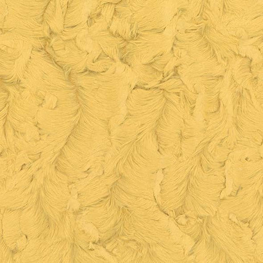 EZ Fabric / Touch Textiles - Bella Minky Direct - Choice FabricsDS-87586-021 - E BELLA MUSTARD