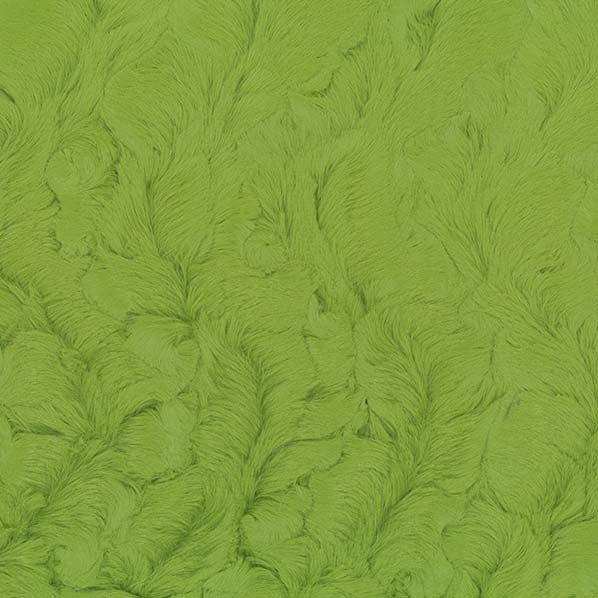 EZ Fabric / Touch Textiles - Bella Minky Direct - Choice FabricsDS-87586-049 - E BELLA FERN