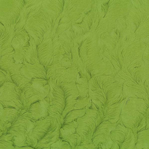 EZ Fabric / Touch Textiles - Bella Minky Direct - Choice FabricsDS-87586-049 - E BELLA FERN